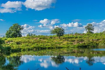 Obraz na płótnie Canvas beautiful reflecting water forest landscape
