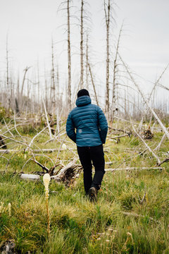 Man walking, Glacier National Park, Montana, Canada, United States of America 