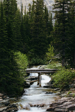 Foot bridge over river, Glacier National Park, Montana, Canada, United States of America 