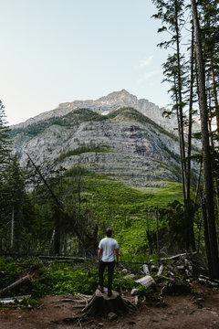 Man viewing Rocky mountain peaks, Glacier National Park, Montana, Canada, United States of America 