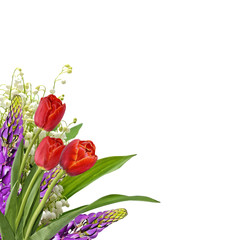 The branch of lilies of the valley flowers isolated on white bac