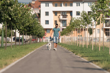 Fototapeta na wymiar Young Man Walking Dog Through Park