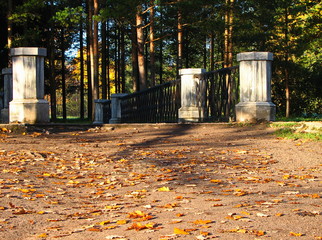 Golden autumn in Pushkin and Pavlovsk, Tsarskoe Selo, St. Petersburg, Russia