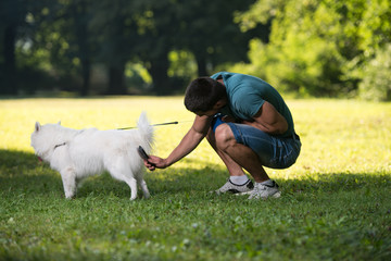 Man Cleans The Dog German Spitz In Park