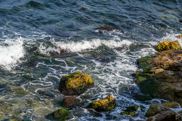 Wave hitting coast