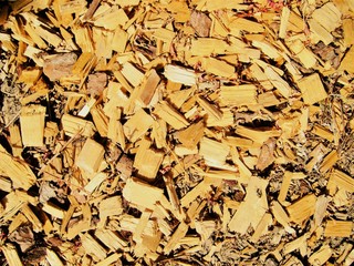 Log yellow brown wooden chippings splinters 