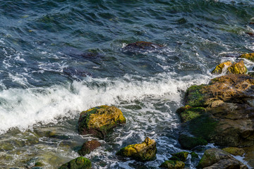 Wave hitting coast