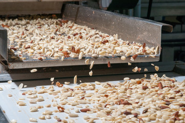 Shelled almonds in the carriage for the peeling process in a modern factory