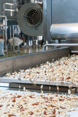 Shelled almonds in the carriage for the peeling process in a modern factory