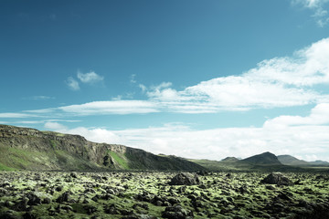 volcanic mossy landscape, Iceland