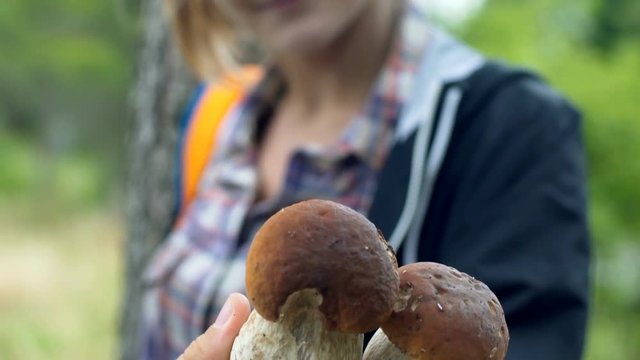 Girl standing in the forest and holding bay bolete, steadycam shot
