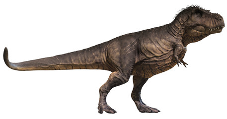 3D rendering of Tyrannosaurus Rex standing tall, isolated on white background.