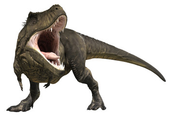 3D rendering of Tyrannosaurus Rex roaring, isolated on white background.
