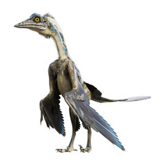 3D rendering of Archaeopteryx standing,  isolated on white background.
