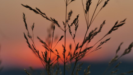 Letzte Sonne