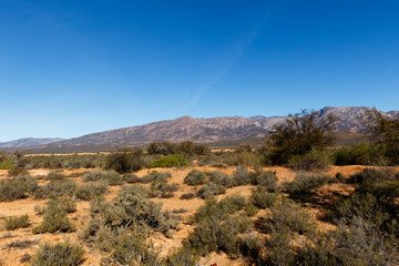 Dry Landscape