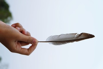 hand holding feather