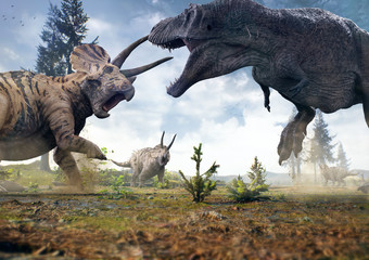 3D rendering of Tyrannosaurus Rex facing off against a Triceratops herd in Hell Creek about 67 million years ago. - obrazy, fototapety, plakaty