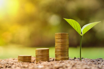 Green business and investment / Business with environmental concern