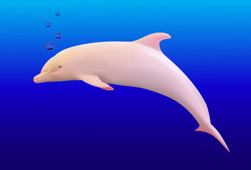 Dolphin on blue background. Vector