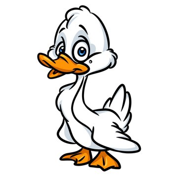 White duck little cartoon illustration isolated image animal character 