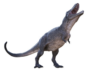 3D rendering of Tyrannosaurus Rex howling, isolated on a white background.