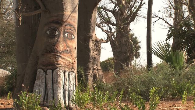 Baobab tree in Gambia painted by wide open walls