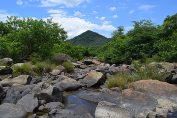 rock, mountain and forest in blue cloudy sky