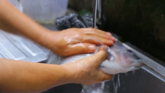 Cleans Fish. Rinse fish Water from the Tap