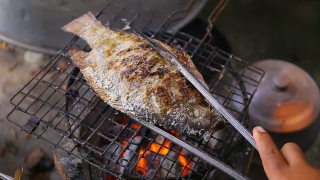 Raw Tilapia fish grilled
