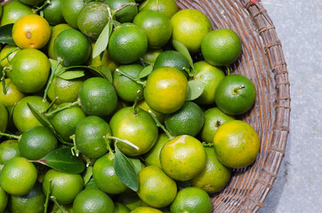 Green Kumquat In Basket.