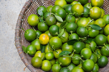 Green Kumquat In Basket.