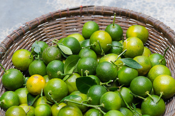 Green Kumquat In Basket.