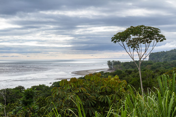 Fototapeta na wymiar Southern pacific coast of Costa Rica