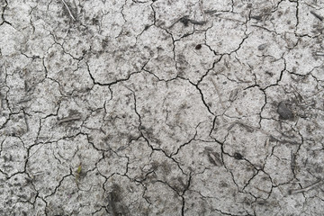 Cracked Ground,Soil,Dry Land,Dry Mud For Background.