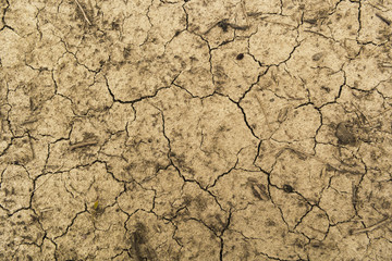 Cracked Ground,Soil,Dry Land,Dry Mud For Background.