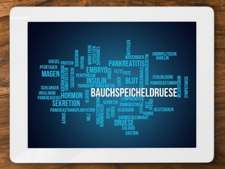 Bauchspeicheldrüse