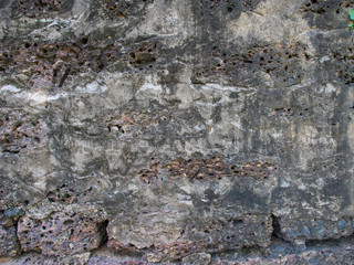  laterite  wall