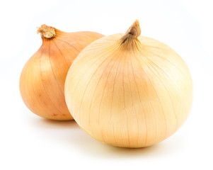 fresh bulbs of onion isolated