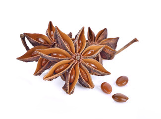 Star anise spice fruits and seeds isolated on white background