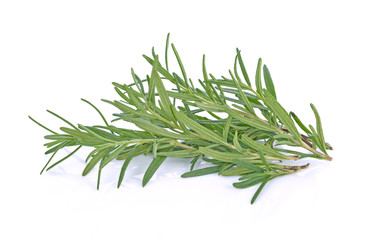 rosemary