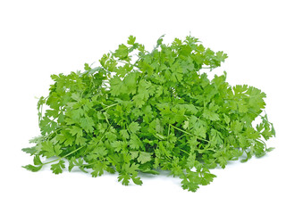 parsley isolated on white background.