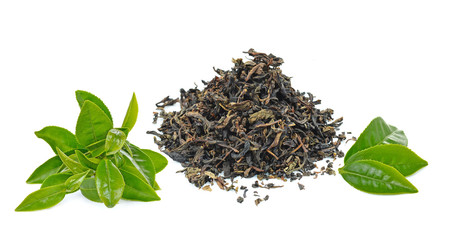 green tea  leaf