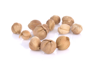 Dried Herbs,Amomum krervanh Pierre,Siam Cardamom, Best Cardamom,