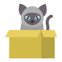 Cat cartoon style vector silhouette sitting in box. Cute domestic cat animal playfull. Cartoon cat young adorable tail symbol playful. Cartoon funny domestic pussy kitty character