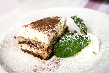 Classical Dessert homemade Tiramisu Cake
