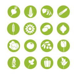 Vegetable pictograms, food symbols