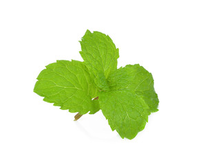 Fresh mint isolated on the white background.