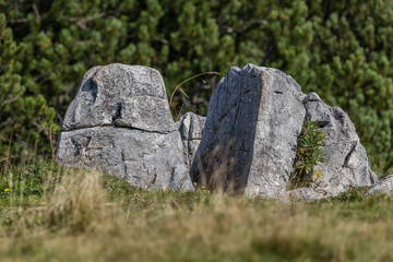 stein in alpen