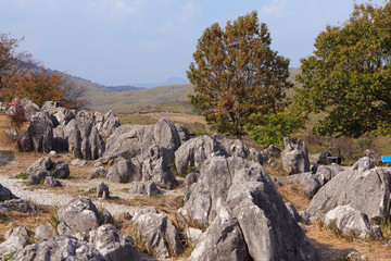 秋の秋吉台 